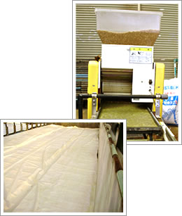 健苗シート画像