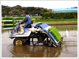 PG-63施肥付ゼットローター画像