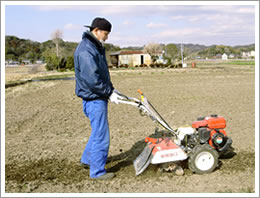 「菜ゆうき」KGシリーズ画像