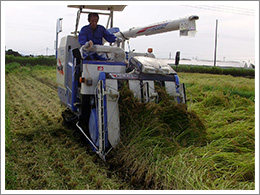 イセキコンバインＨＦＧ447ＧＺＶＲＬＷ5