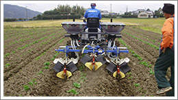 ＪＫシリーズ　愛さいか