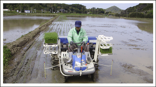 イセキPQZ53DULF-1