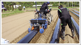 イセキPQZ53DULF-1