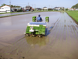 田植え2018