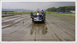 ヰセキ自動直進田植機