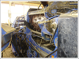 稲刈りもほぼ終わり新米を美味しく頂いています