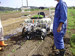 野菜の移植機[ナウエル]