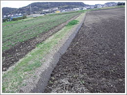 田植の準備が着々と進んできました