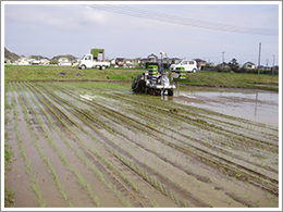 田植えの時期になりました
