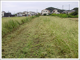 草刈り