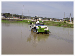 田植の様子後ろ