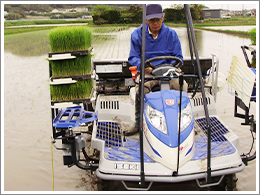 田植えシーズンが始まりました_2